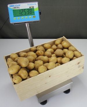 Warrior Scales Weighing Crate of Potatoes